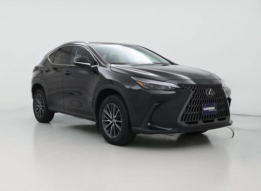 2024 Lexus NX