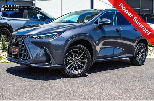 2024 Lexus NX