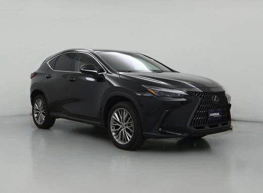 2025 Lexus NX