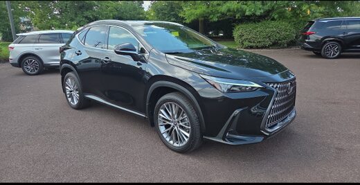 2025 Lexus NX