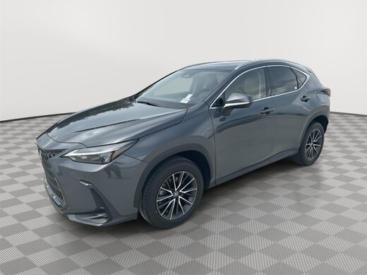 2024 Lexus NX