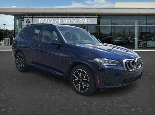 2023 BMW X3