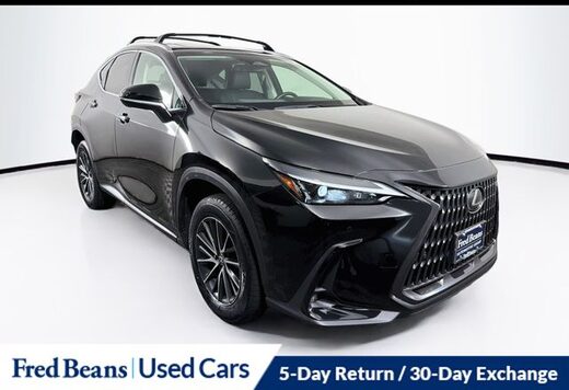 2024 Lexus NX