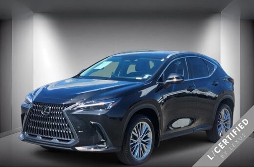 2025 Lexus NX