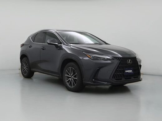 2023 Lexus NX
