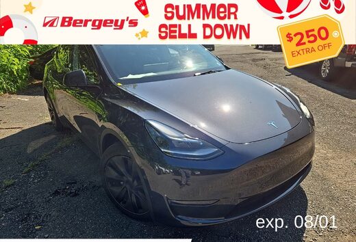 2025 Tesla Model Y