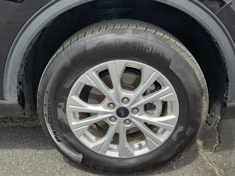 Photo 7