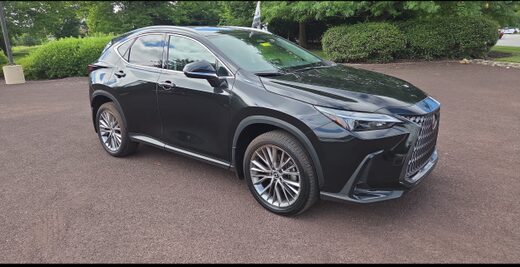 2025 Lexus NX