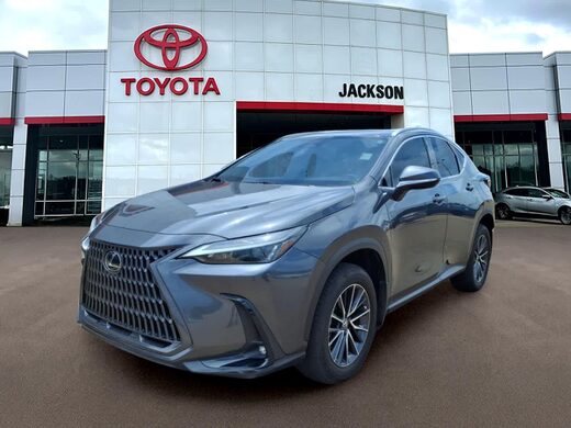 2024 Lexus NX 250