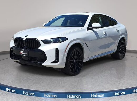 2024 BMW X6