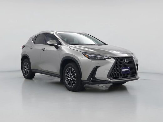 2025 Lexus NX