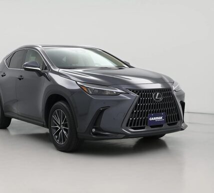 2025 Lexus NX