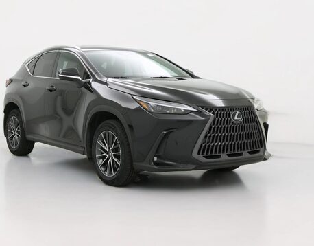 2025 Lexus NX