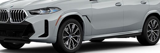 2026 BMW X6