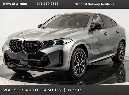 2024 BMW X6