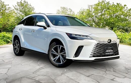 2024 Lexus RX