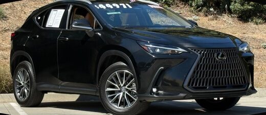 2025 Lexus NX