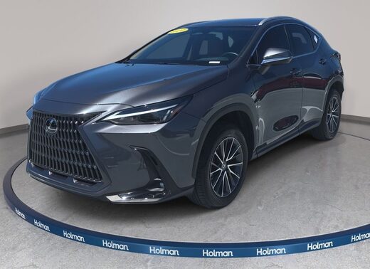 2024 Lexus NX