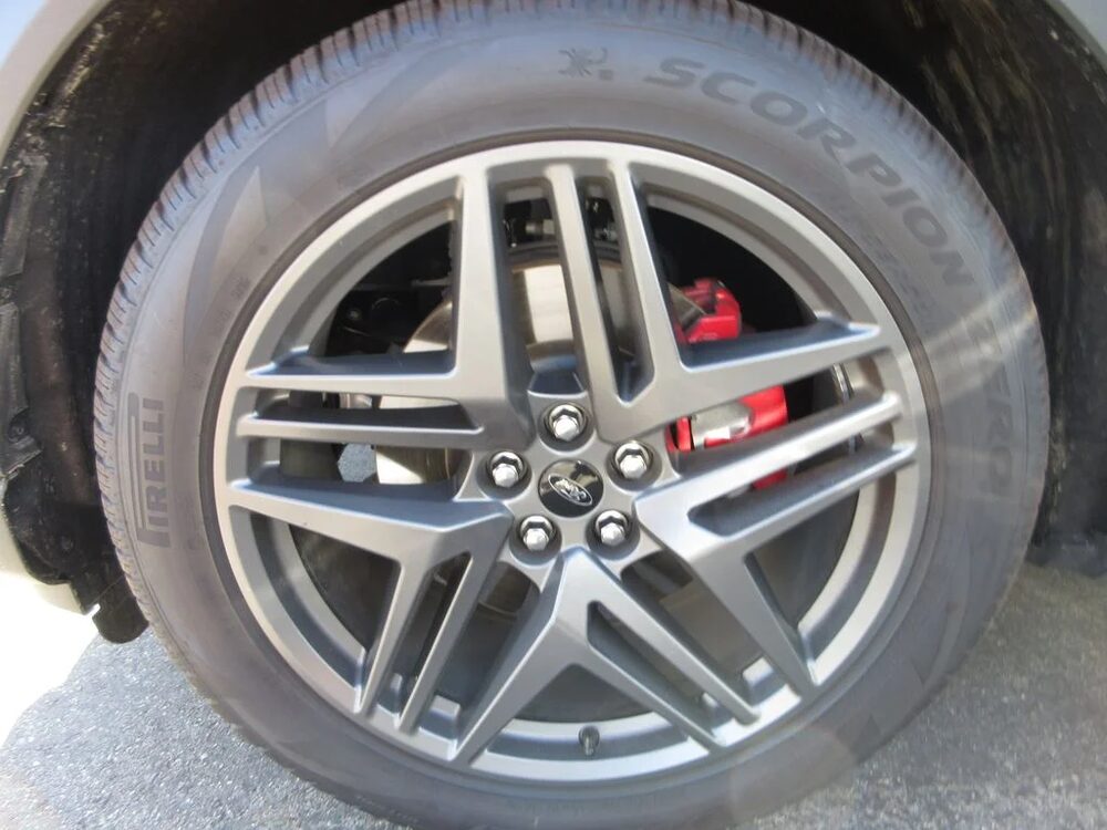 Photo 5