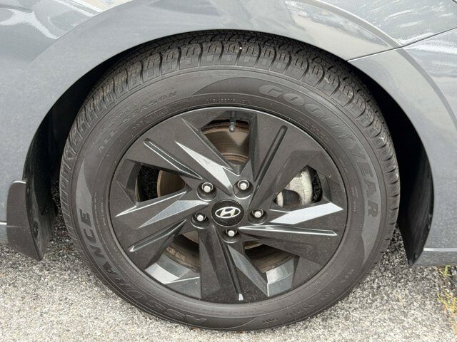 Photo 7