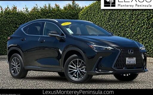 2024 Lexus NX