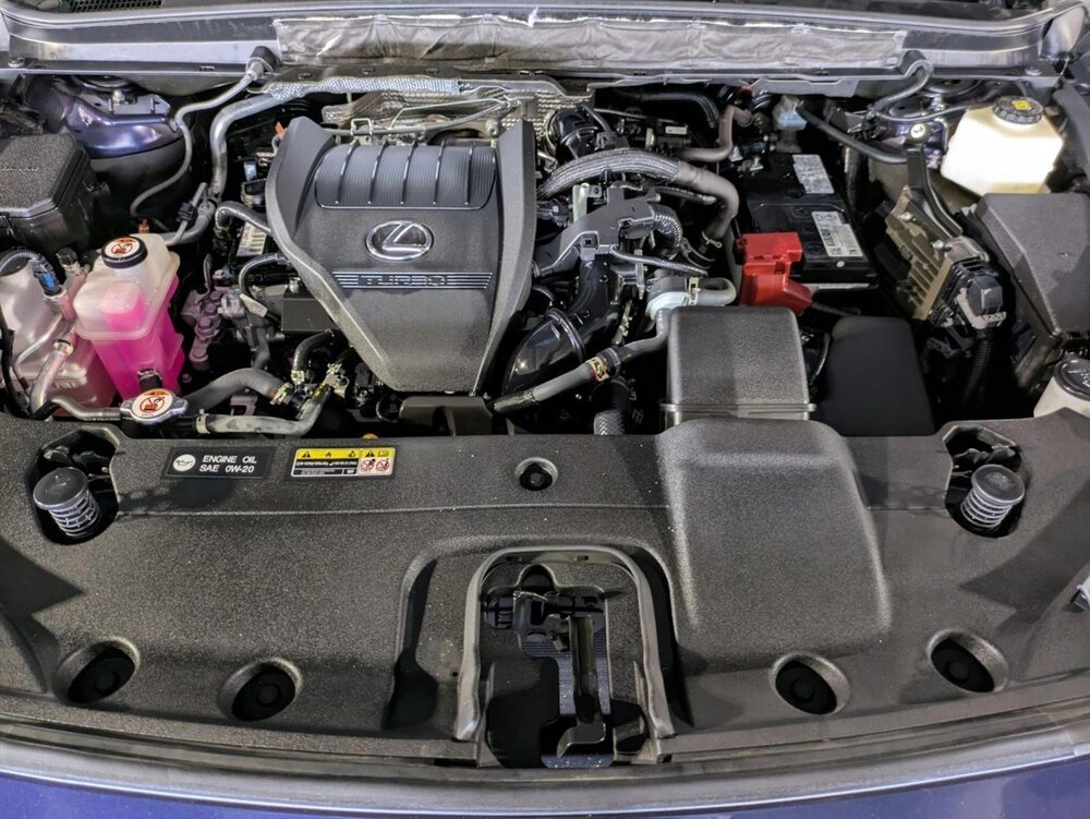 Photo 25