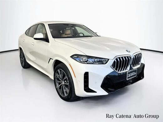 2024 BMW X6