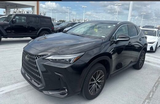 2024 Lexus NX