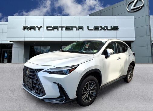 2024 Lexus NX