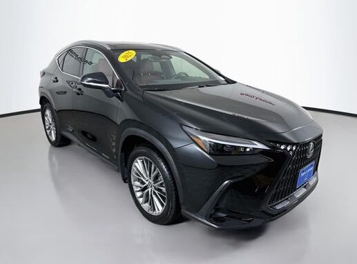 2025 Lexus NX