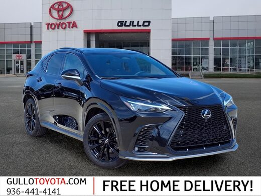 2024 Lexus NX