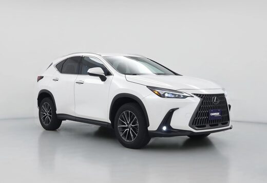 2024 Lexus NX
