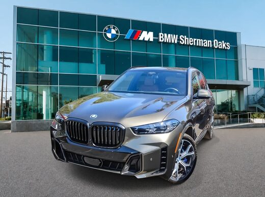 2024 BMW X5 xDrive50e