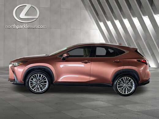 2025 Lexus NX
