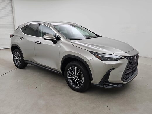2025 Lexus NX