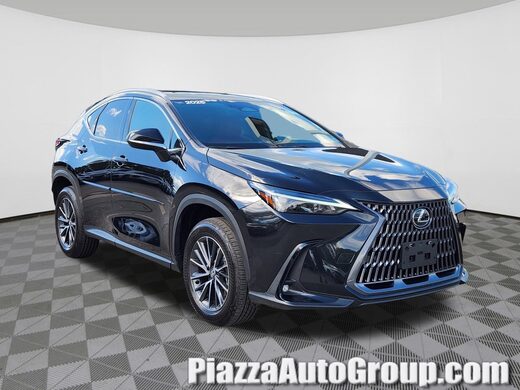 2025 Lexus NX