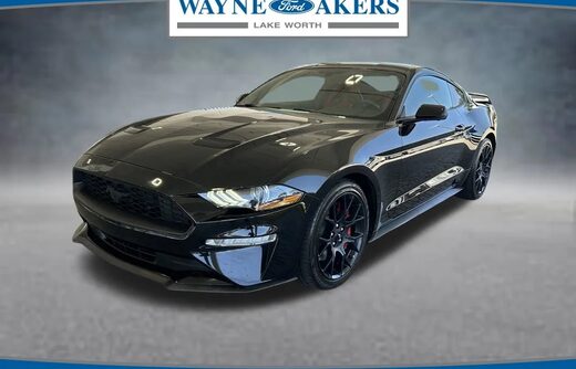 2019 Ford Mustang