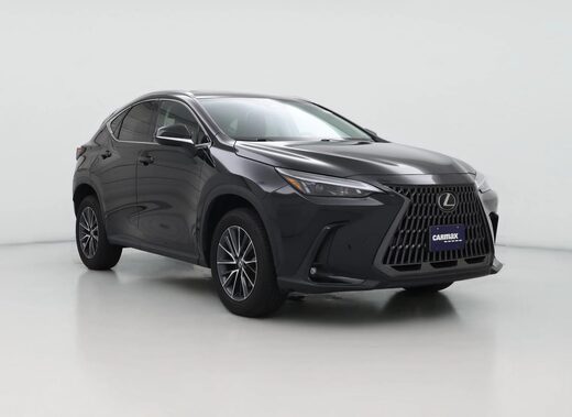2024 Lexus NX