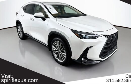 2025 Lexus NX