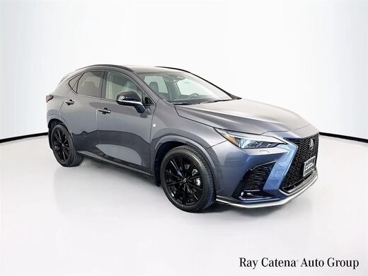 2024 Lexus NX