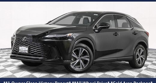 2024 Lexus RX