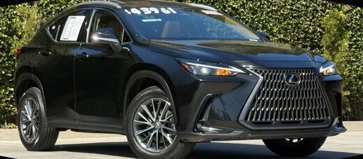 2025 Lexus NX