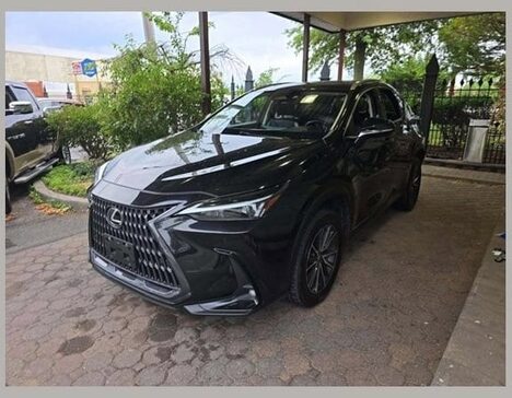 2024 Lexus NX