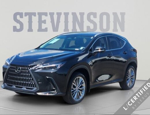 2025 Lexus NX