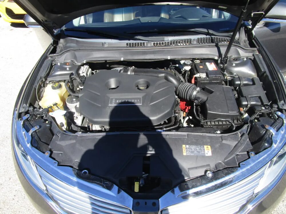 Photo 21