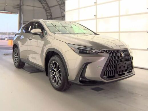 2024 Lexus NX
