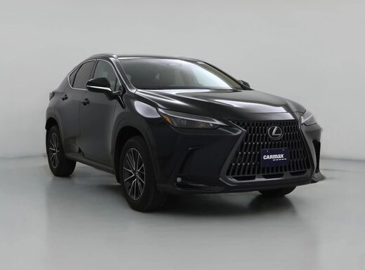 2025 Lexus NX