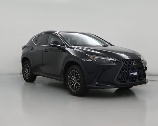 2025 Lexus NX