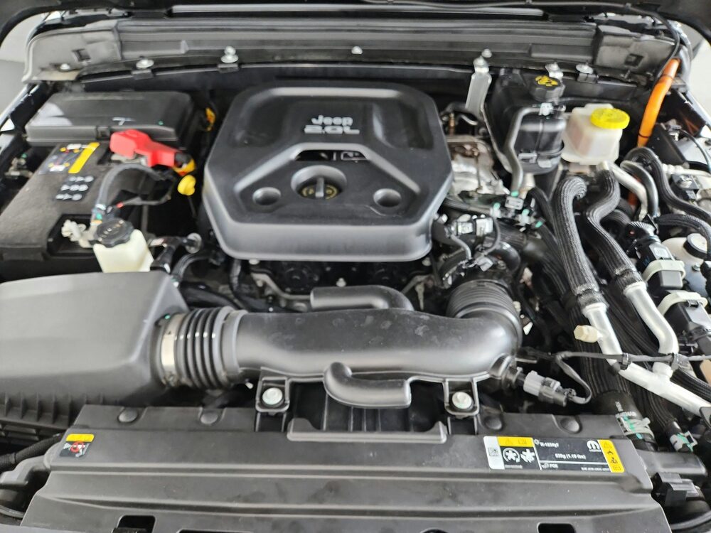 Photo 41
