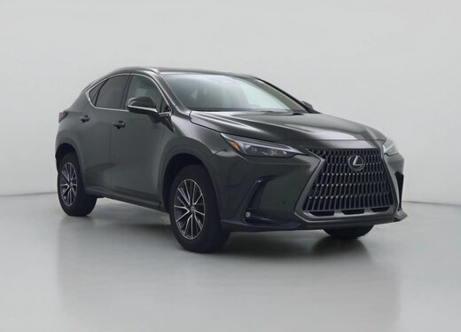 2024 Lexus NX